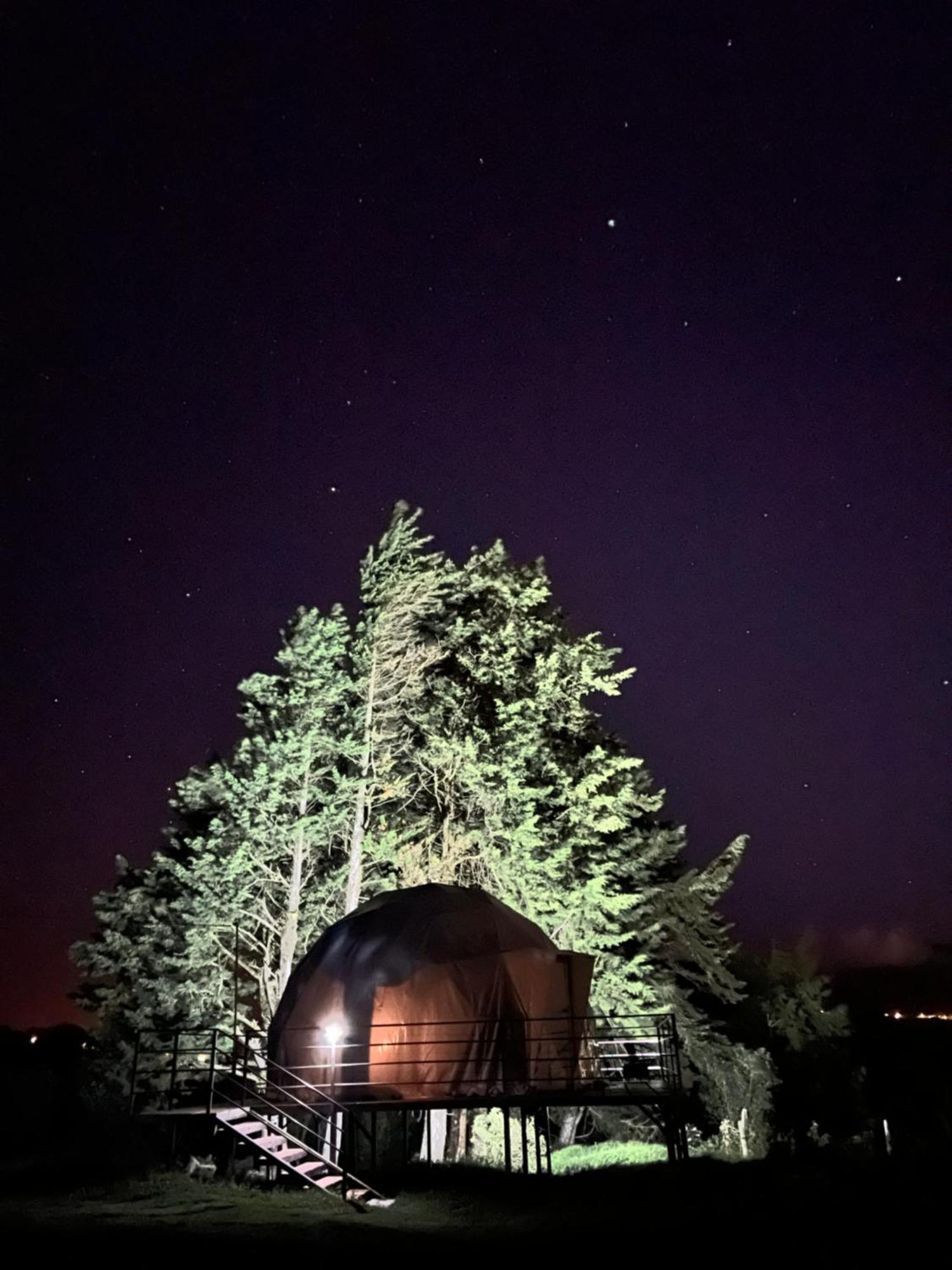 Green Noise Glamping Fraijanes Ngoại thất bức ảnh